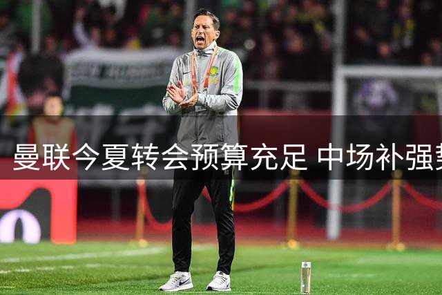 曼联今夏转会预算充足 中场补强势在必行
